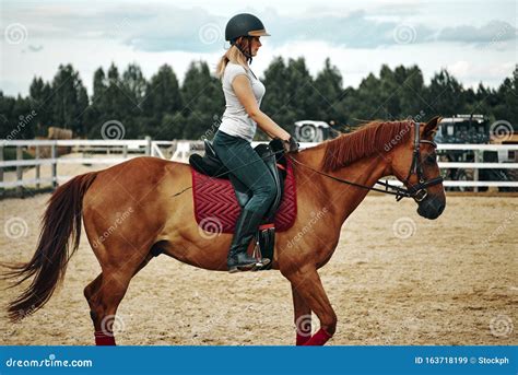 horse riding pics|girl riding horse pics.